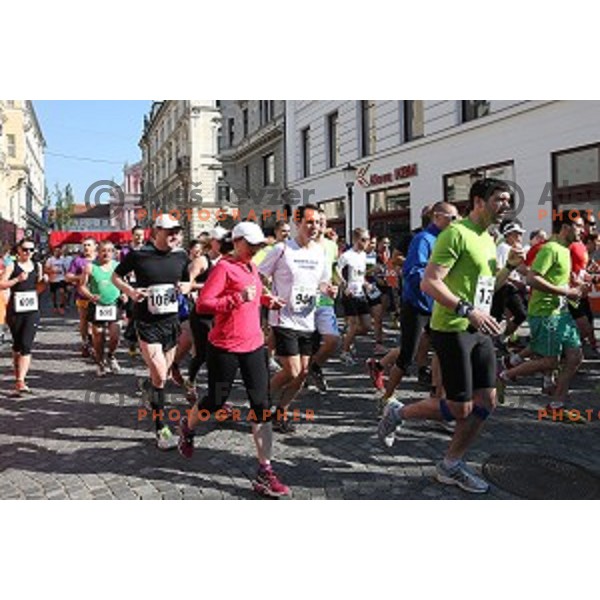 Tek trojk in Pohod ob Zici 2016 , Ljubljana, Slovenia, May 7, 2016
