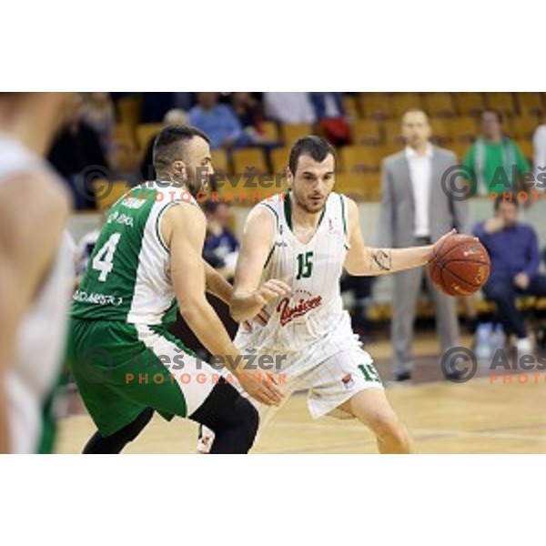 Sava Lesic in action in Nova KBM league basketball match between Union Olimpija and Krka in Tivoli Hall, Ljubljana, Slovenia on April 11, 2016