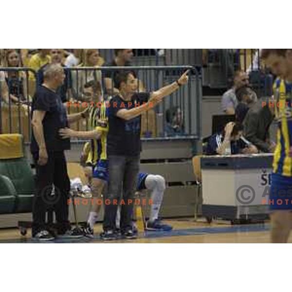 Celje\'s head coach Tamse in action during 1.NLB leasing league between Celje pivovarna Lasko and Gorenje Velenje, Zlatorog hall, Celje, Slovenia on May 27th, 2016