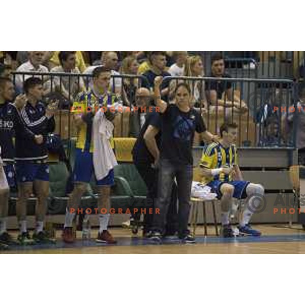 Celje\'s head coach Tamse in action during 1.NLB leasing league between Celje pivovarna Lasko and Gorenje Velenje, Zlatorog hall, Celje, Slovenia on May 27th, 2016