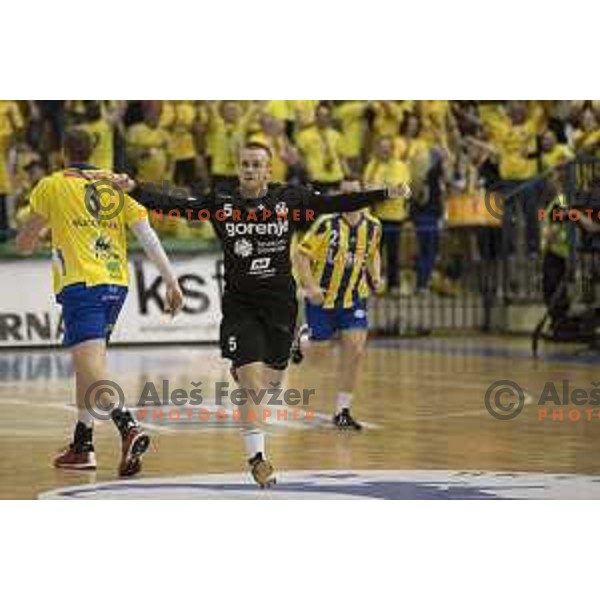 Gorenje\'s left wing Niko Medved (5) in action during 1.NLB leasing league between Celje pivovarna Lasko and Gorenje Velenje, Zlatorog hall, Celje, Slovenia on May 27th, 2016