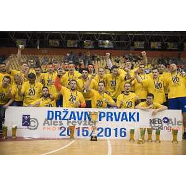 Players celebrate after winning last match of 1.NLB leasing league between Celje pivovarna Lasko and Gorenje Velenje, Zlatorog hall, Celje, Slovenia on May 27th, 2016