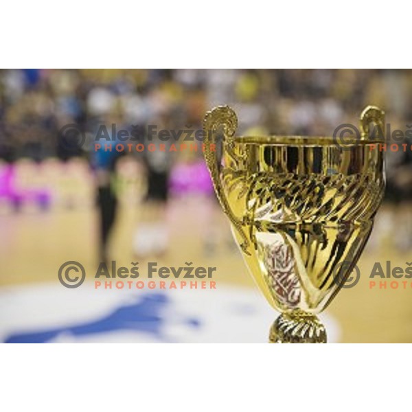 League cup during the match of 1.NLB leasing league between Celje pivovarna Lasko and Gorenje Velenje, Zlatorog hall, Celje, Slovenia on May 27th, 2016