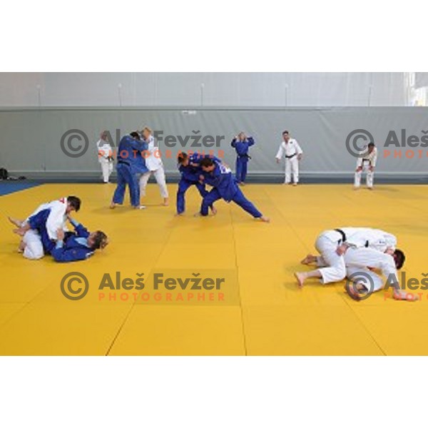 of Slovenia judo team during practice session before European Judo Celje-Podcetrtek Cup in Podcetrtek, Slovenia on June 7, 2016