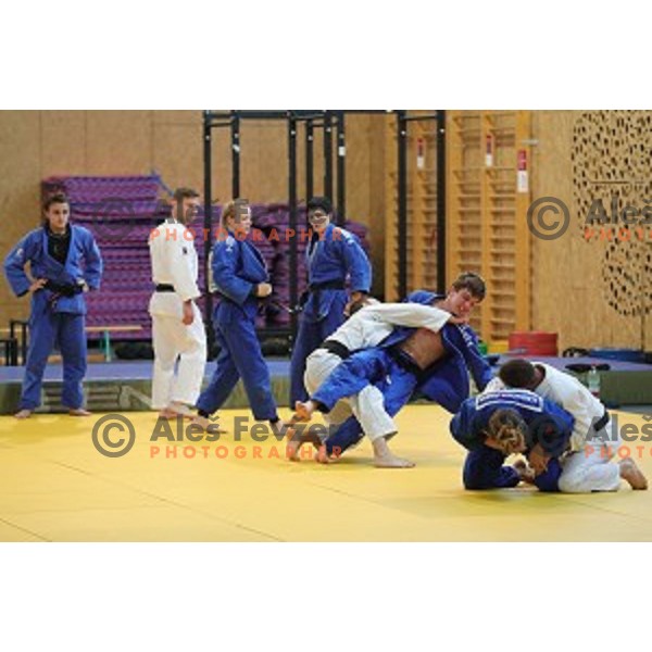of Slovenia judo team during practice session before European Judo Celje-Podcetrtek Cup in Podcetrtek, Slovenia on June 7, 2016
