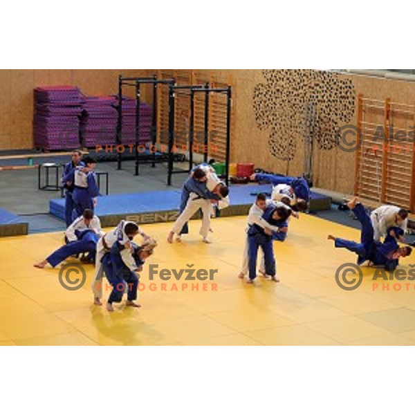 of Slovenia judo team during practice session before European Judo Celje-Podcetrtek Cup in Podcetrtek, Slovenia on June 7, 2016