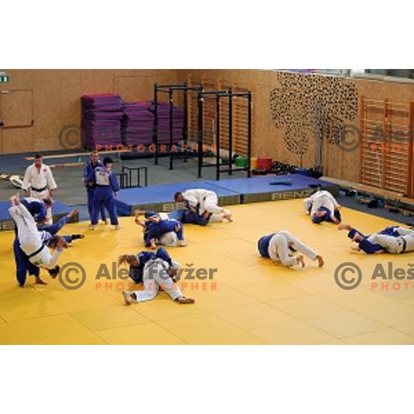 of Slovenia judo team during practice session before European Judo Celje-Podcetrtek Cup in Podcetrtek, Slovenia on June 7, 2016