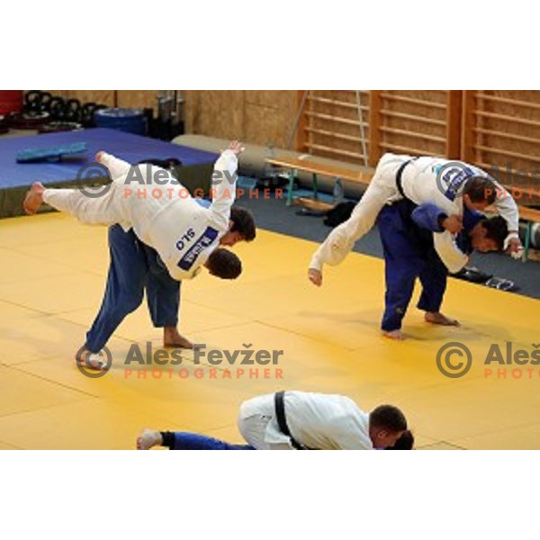 of Slovenia judo team during practice session before European Judo Celje-Podcetrtek Cup in Podcetrtek, Slovenia on June 7, 2016