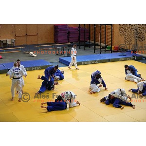 of Slovenia judo team during practice session before European Judo Celje-Podcetrtek Cup in Podcetrtek, Slovenia on June 7, 2016