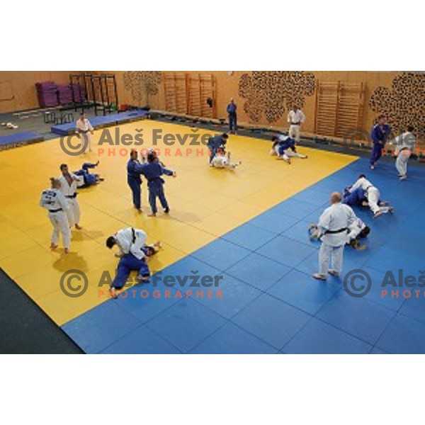of Slovenia judo team during practice session before European Judo Celje-Podcetrtek Cup in Podcetrtek, Slovenia on June 7, 2016
