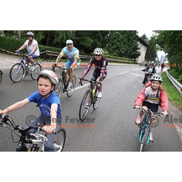 Family marathon Franja on 25 km - UCI Gran Fondo event in Ljubljana on June 11, 2016