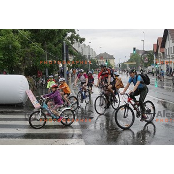 Family marathon Franja on 25 km - UCI Gran Fondo event in Ljubljana on June 11, 2016