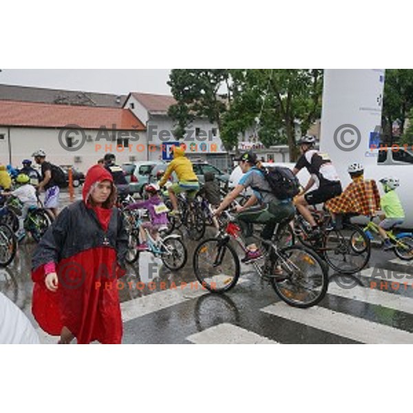 Family marathon Franja on 25 km - UCI Gran Fondo event in Ljubljana on June 11, 2016