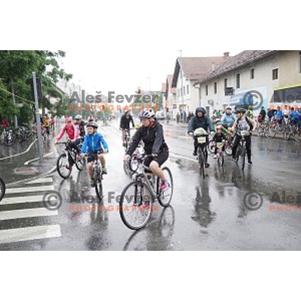 Family marathon Franja on 25 km - UCI Gran Fondo event in Ljubljana on June 11, 2016