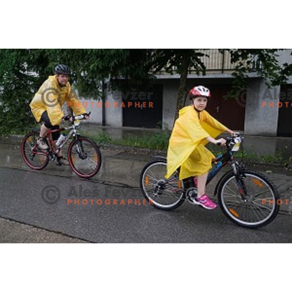 Family marathon Franja on 25 km - UCI Gran Fondo event in Ljubljana on June 11, 2016