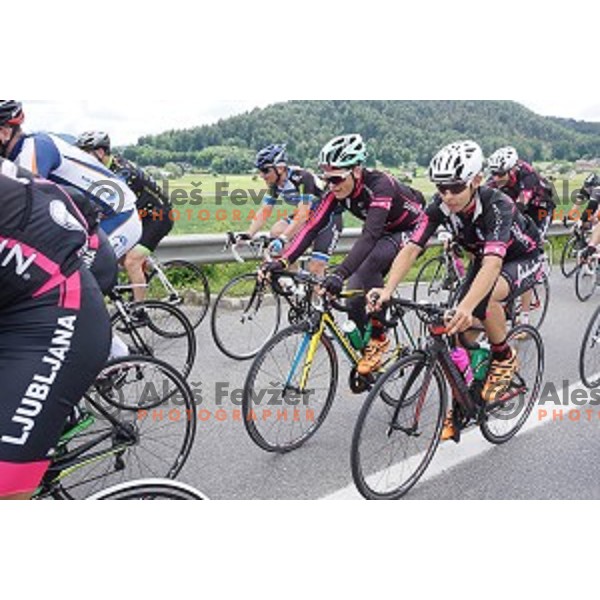 Marathon Franja on 156 km - UCI Gran Fondo event in Ljubljana on June 12, 2016