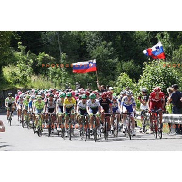 217 km long second stage of Tour of Slovenia between Nova Gorica and Golte on June 17, 2016