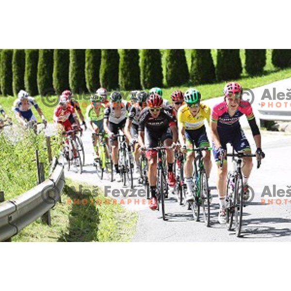 Jens Keukeleire of Orica GreenEdge and Matej Mohoric of Lampre Merida at 217 km long second stage of Tour of Slovenia between Nova Gorica and Golte on June 17, 2016