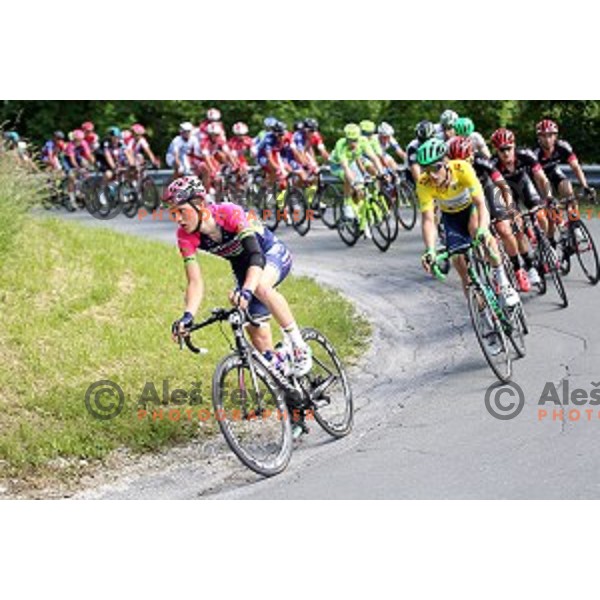 Matej Mohoric of Lampre Merida at 217 km long second stage of Tour of Slovenia between Nova Gorica and Golte on June 17, 2016