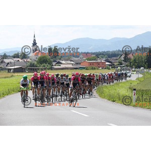 217 km long second stage of Tour of Slovenia between Nova Gorica and Golte on June 17, 2016