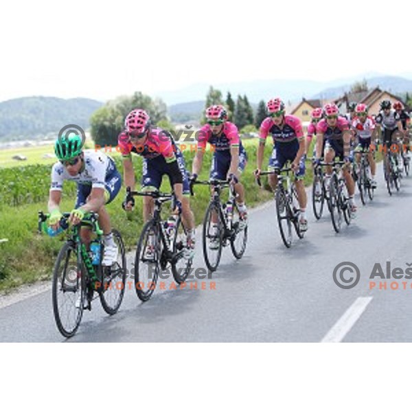 Matej Mohoric of Lampre Merida at 217 km long second stage of Tour of Slovenia between Nova Gorica and Golte on June 17, 2016