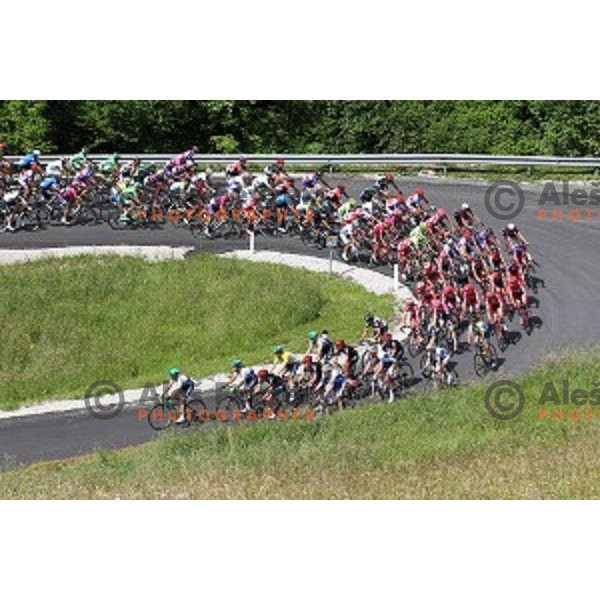 217 km long second stage of Tour of Slovenia between Nova Gorica and Golte on June 17, 2016