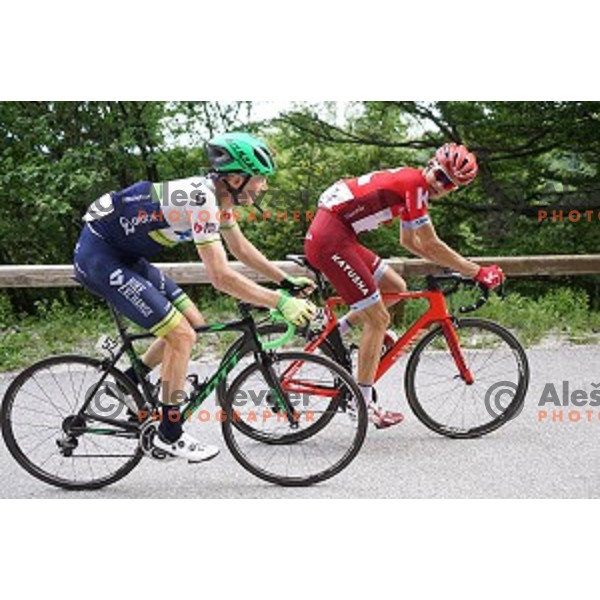 Jack Haig of Orica GreenEdge and Rein Taaramae of Katusha on 217 km long second stage of Tour of Slovenia between Nova Gorica and Golte on June 17, 2016
