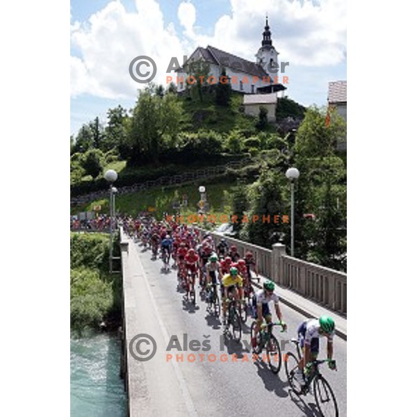 cylists on 217 km long second stage of Tour of Slovenia between Nova Gorica and Golte on June 17, 2016