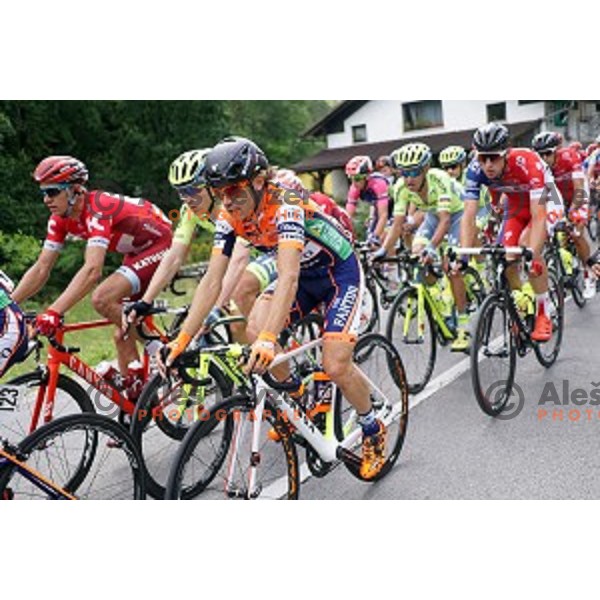 Damiano Cunego on 217 km long second stage of Tour of Slovenia between Nova Gorica and Golte on June 17, 2016