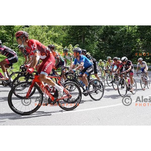 cylists on 217 km long second stage of Tour of Slovenia between Nova Gorica and Golte on June 17, 2016