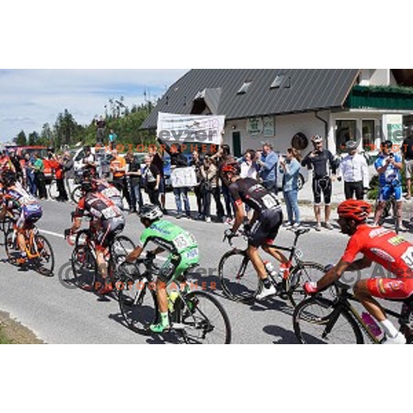 cylists on 217 km long second stage of Tour of Slovenia between Nova Gorica and Golte on June 17, 2016