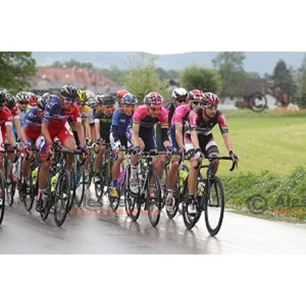 Matej Mohoric, Jani Brajkovic and Matej Mugerli at Slovenian National Road Race Championships in Ihan, Slovenia on June 26, 2016