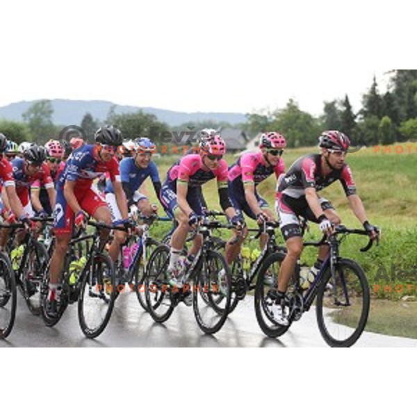 Matej Mohoric, Jani Brajkovic and Matej Mugerli at Slovenian National Road Race Championships in Ihan, Slovenia on June 26, 2016