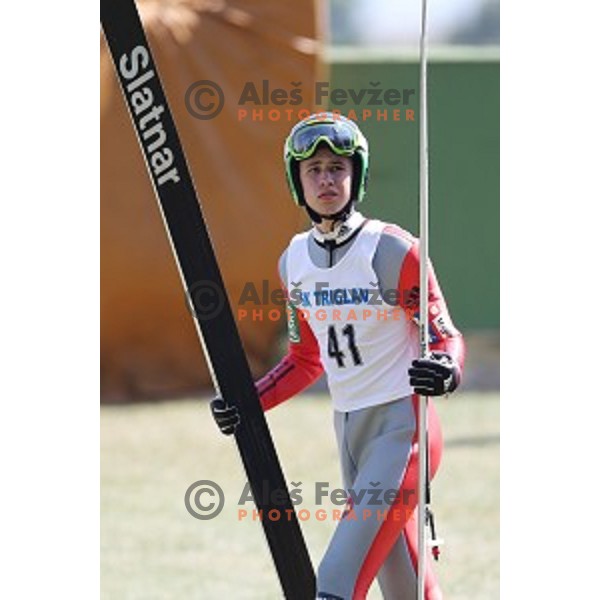 of Slovenia during FIS Continental Cup Ski Jumping in Kranj, Slovenia on July 2, 2016