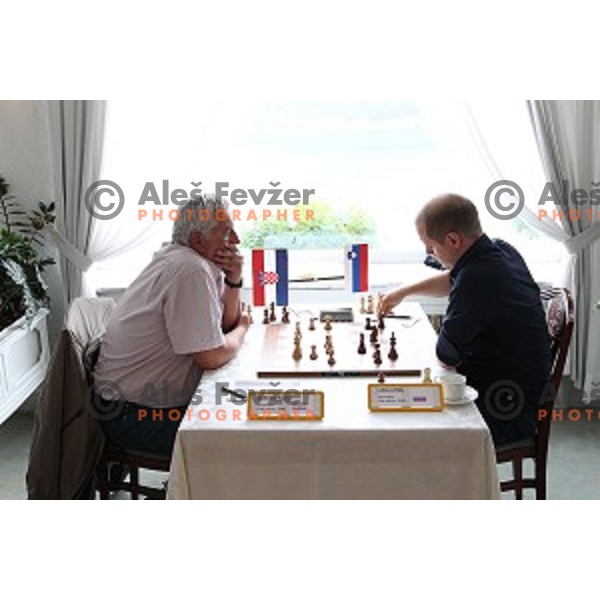 Zdenko Kozul of Croatia and Luka Lenic of Slovenia compete at Vidmar Memorial chess tournament in hotel Toplice, Bled, Slovenia on July 3, 2016