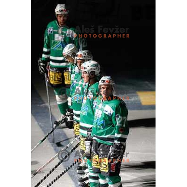 Jeremiah McCarthy and Ryan Jardine at the first game of EBEL , ZM Olimpija : KAC 