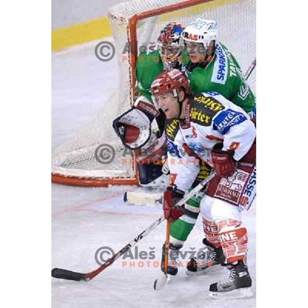 Andrej Tavzelj defends at the first game of EBEL , ZM Olimpija : KAC 