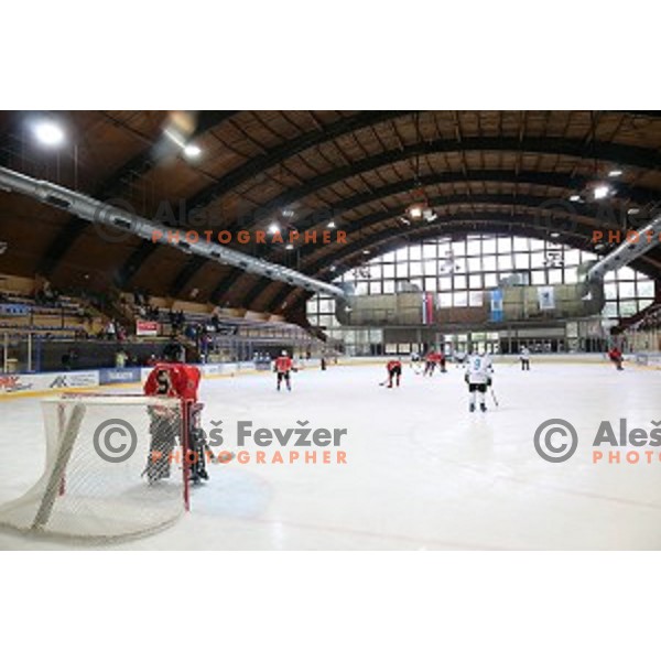Tomaz Razingar , captain of Slovenia Ice Hockey Team during his farewell match in Bled Ice Hockey Hall, Slovenia on July 16, 2016