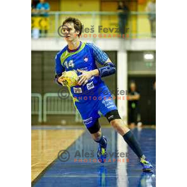 Sebastian Skube of team Slovenia during friendly handball match between Slovenia - Tunisia, played in dvorana Tabor, Maribor, 16.7.2016