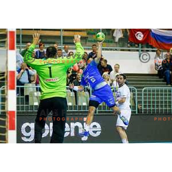 Gasper Marguc of team Slovenia during friendly handball match between Slovenia - Tunisia, played in dvorana Tabor, Maribor, 16.7.2016