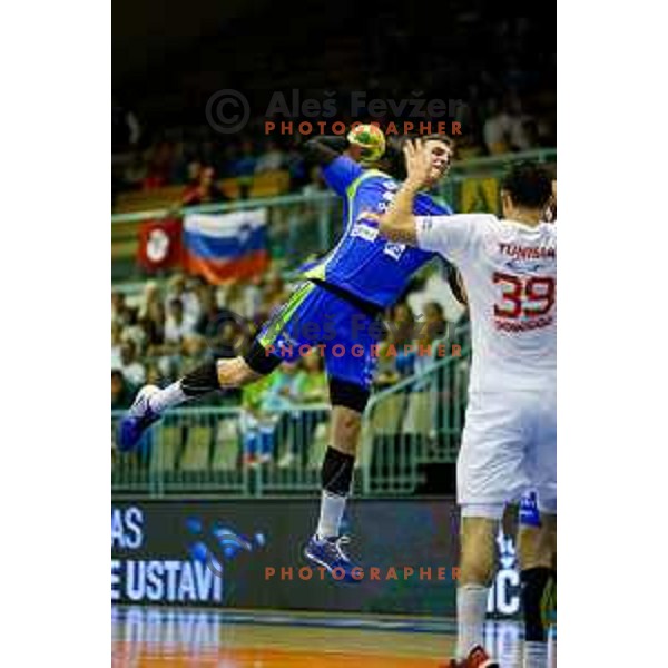 of team Slovenia during friendly handball match between Slovenia - Tunisia, played in dvorana Tabor, Maribor, 16.7.2016