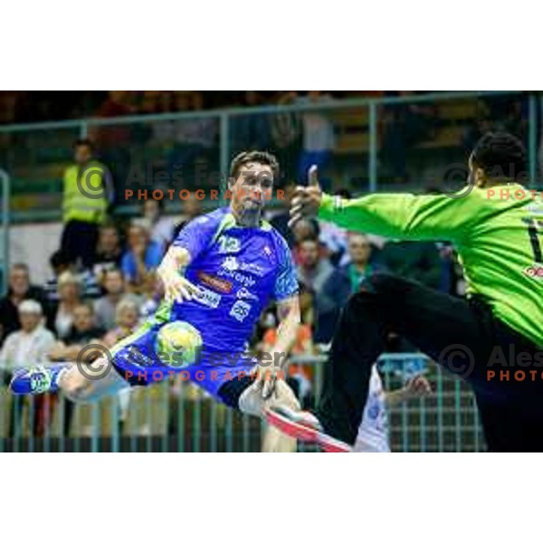 Darko Cingesar of team Slovenia during friendly handball match between Slovenia - Tunisia, played in dvorana Tabor, Maribor, 16.7.2016