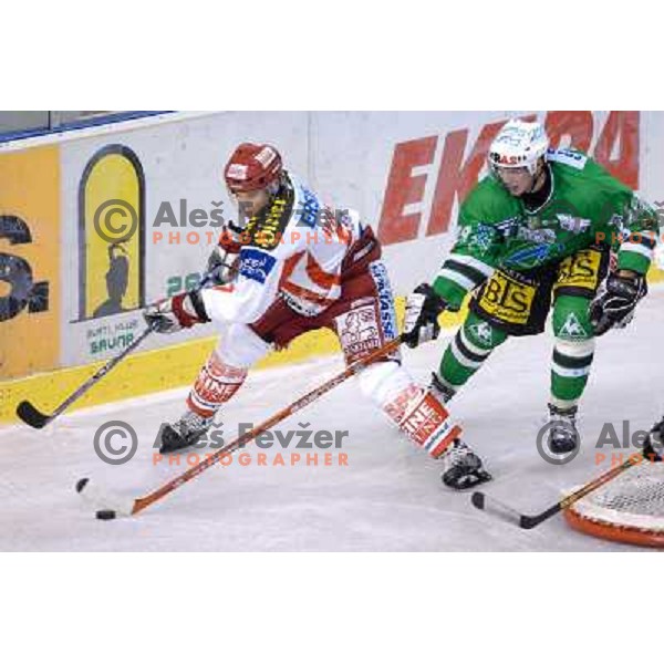 action at the first game of EBEL , ZM Olimpija : KAC 