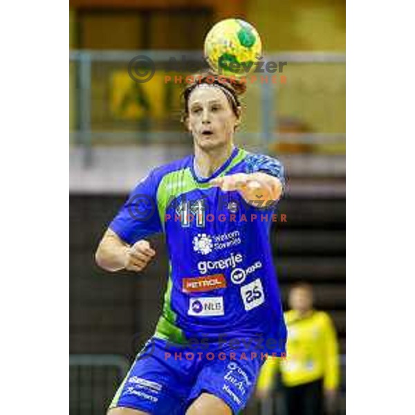 Jure Dolenec of team Slovenia during friendly handball match between Slovenia - Tunisia, played in dvorana Tabor, Maribor, 16.7.2016