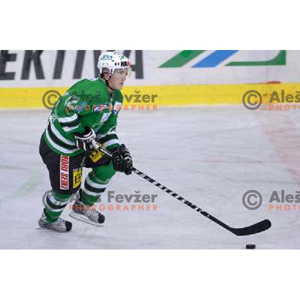 Ryan Jardine at the first game of EBEL , ZM Olimpija : KAC 