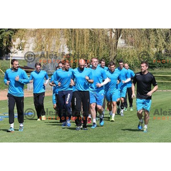 Slovenia Handball team during recovery session in Zrece, Slovenia after first week of preparation for Rio 2016 Olympic games on July 18, 2016