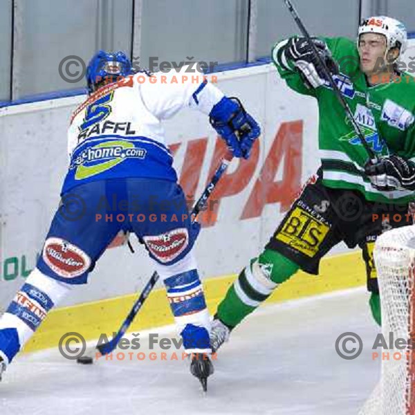 Thomas Raffl elbows Ziga Pavlin 