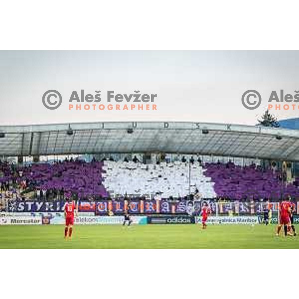 Viole during football match between Maribor - Aberdeen, 3rd qualifying round of UEFA Europa League 2016/17, played in Ljudski vrt, Maribor, Slovenia on August 4, 2016