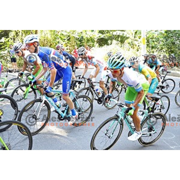 Primoz Roglic of Slovenia during Men\'s Road race at Rio de Janeiro 2016 Olympic games , Brasil on August 6, 2016