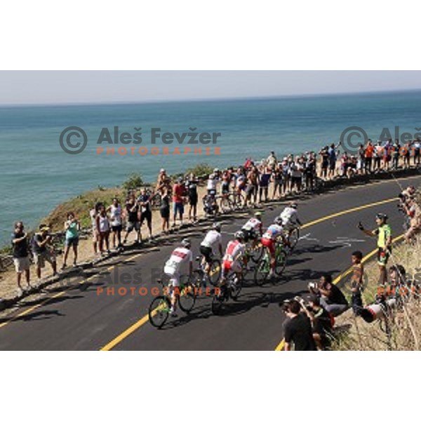 Men\'s Road race at Rio de Janeiro 2016 Olympic games , Brasil on August 6, 2016